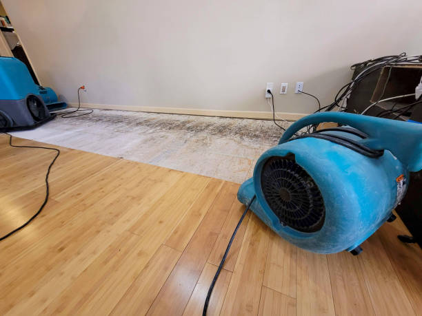 Professional Emergency Water Damage technician working in Califon, NJ